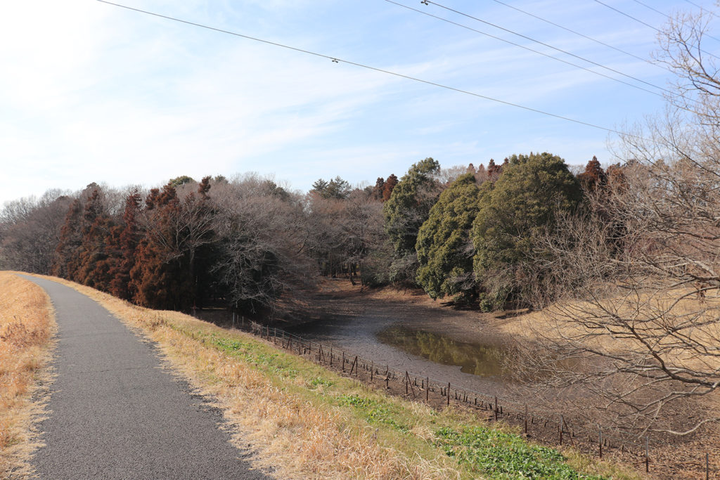 運河の土手