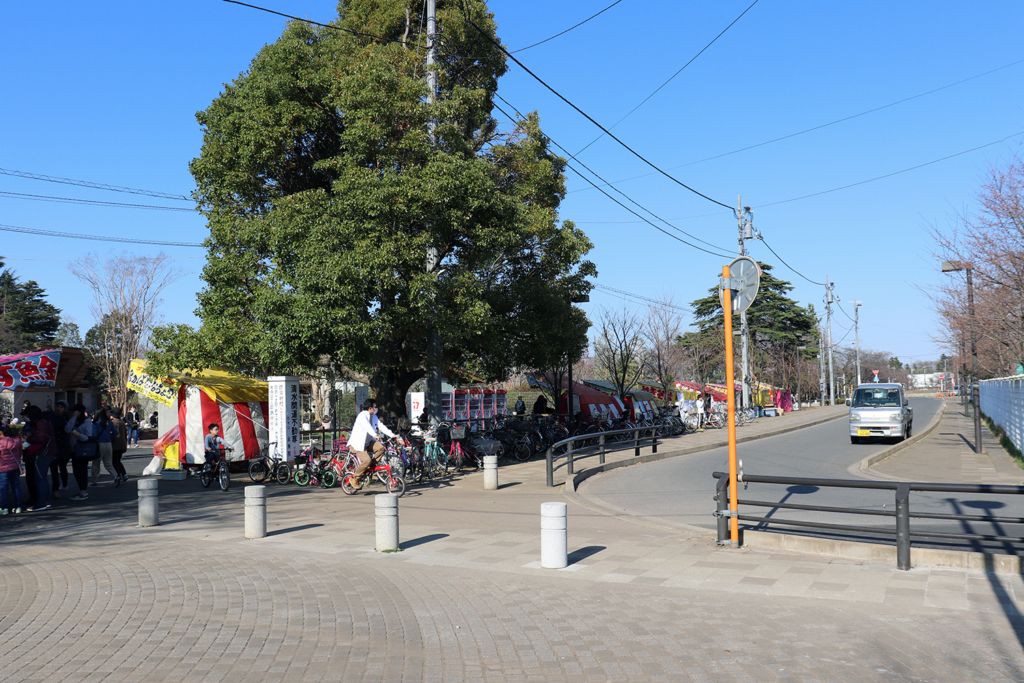 清水公園