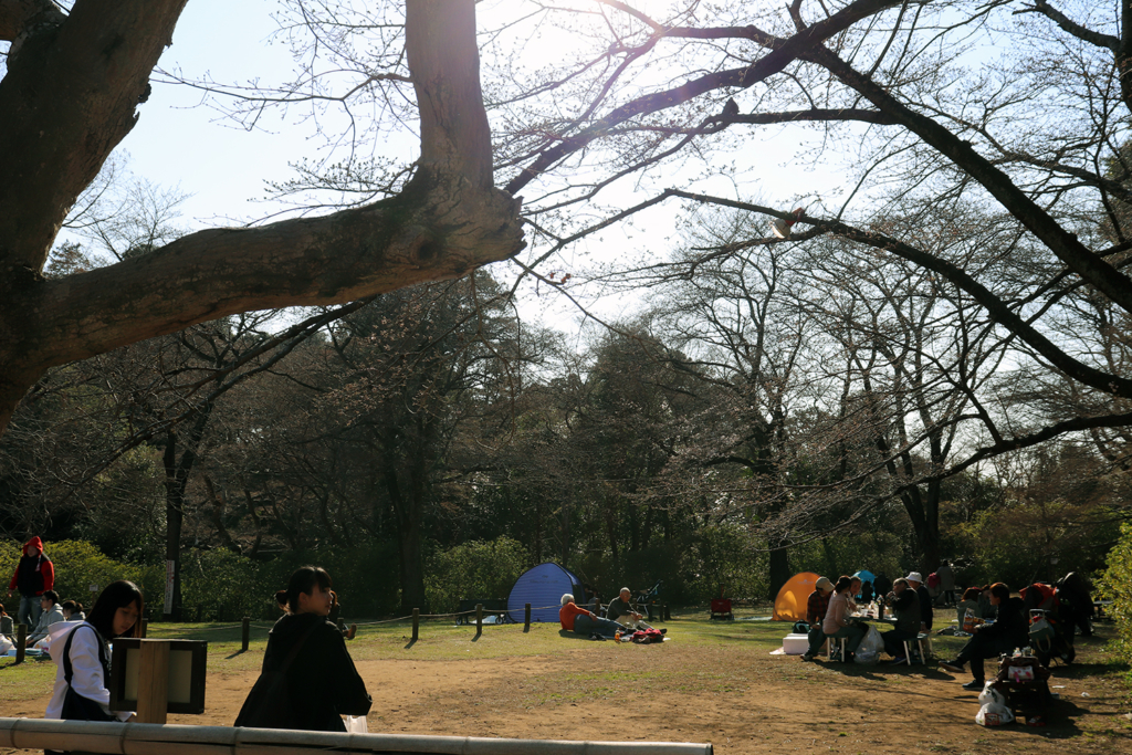清水公園の広場