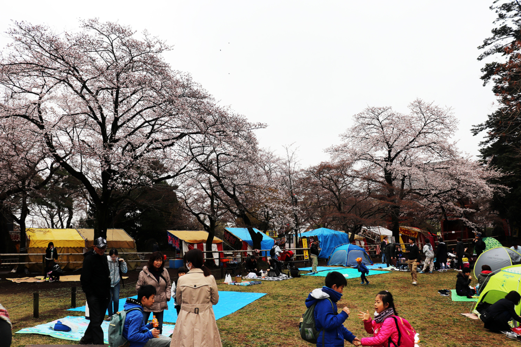 清水公園