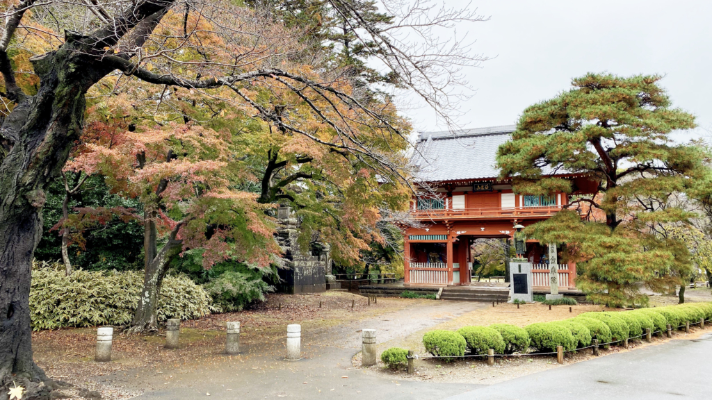 清水公園の紅葉1