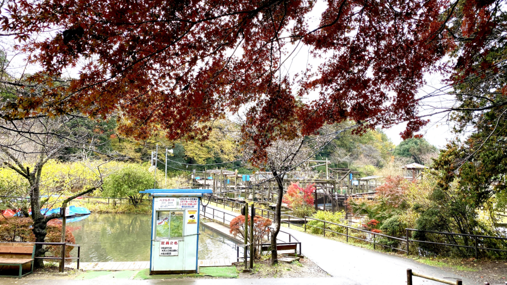 清水公園の紅葉3